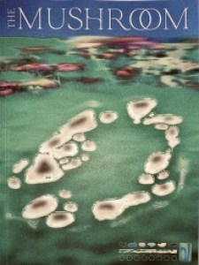 The Mushroom magazine Issue 2